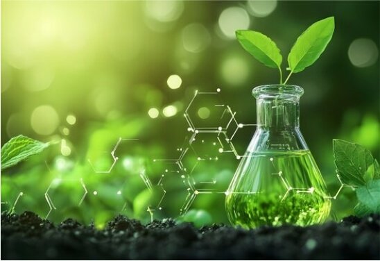 About Us Our Company 01